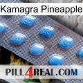 Kamagra Pineapple viagra3